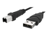 Belkin 10ft USB A/B Device Cable - USB-kabel - USB (hane) till USB typ B (hane) - USB 2.0 - 3 m - för Epson WorkForce WF-2530 F3U133B10