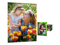 HP Everyday Photo Paper - 500 ark fotopapper - för Business Inkjet 1000, 2800; Officejet g85, R40, R60, R80, T45, T65; Officejet Pro 11XX Q6632A