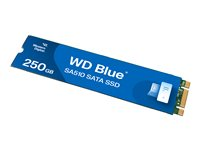 WD Blue SA510 WDS250G3B0B - SSD - 250 GB - inbyggd - M.2 2280 - SATA 6Gb/s - blå WDS250G3B0B