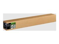 Epson Fine Art II - Bomull - strukturerad matt - 515 mikron - benvit - Rulle (111,8 cm x 15 m) - 300 g/m² - 1 rulle (rullar) box - lumppapper C13S450279NQ